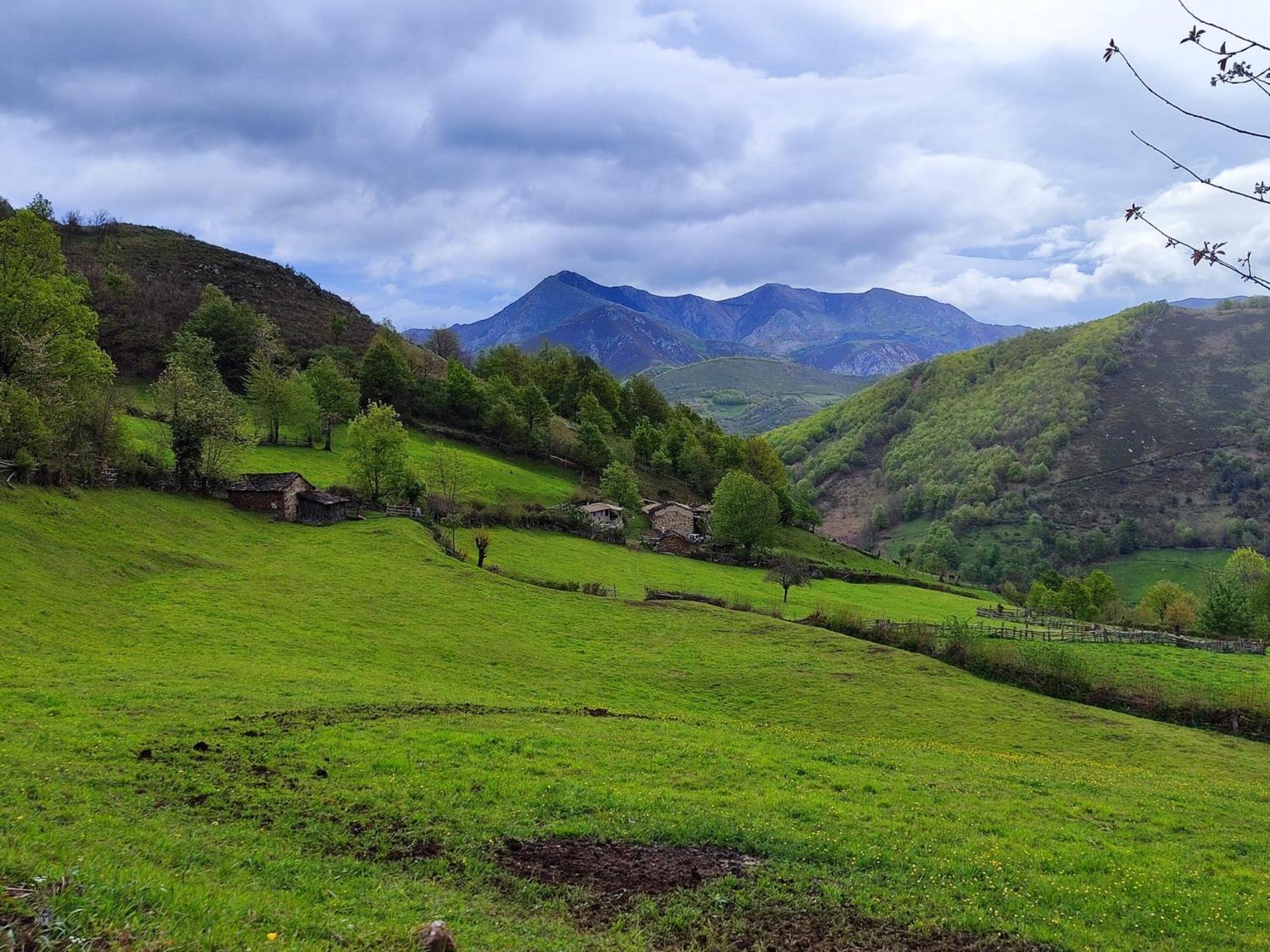 El Corral De Baxo